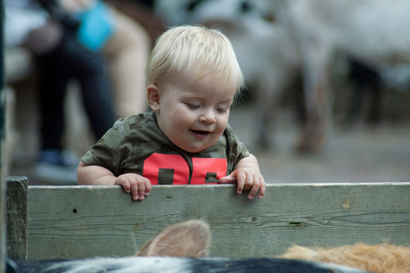 M'n neefje, de moeilijke lacher en gek op dieren