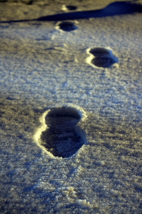 Snowtracks; Footsteps