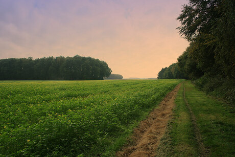 Twente