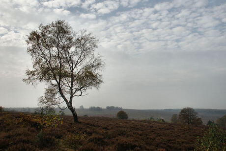 Najaar omgeving Hellendoorn