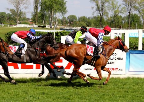 Horse race in Czech Republic