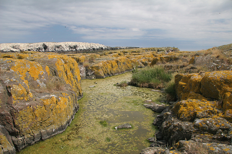 Farne eilanden