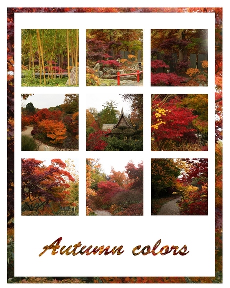 Herfst kleuren