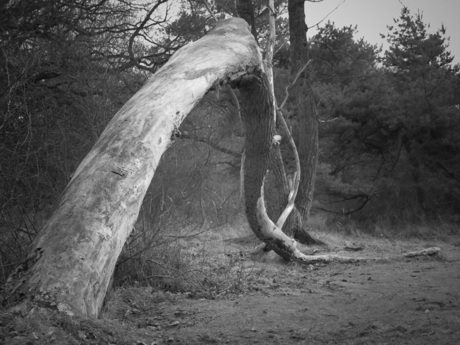 gebukt door het leven