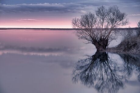 Lac du Der