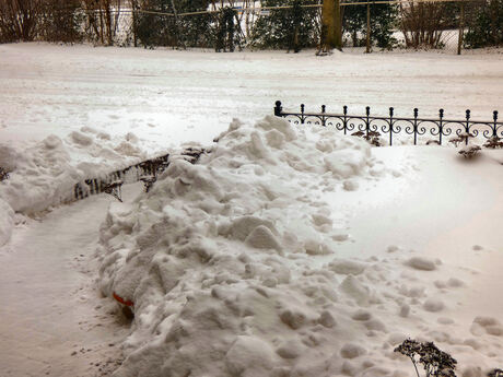 Winter aan Dedemsvaart