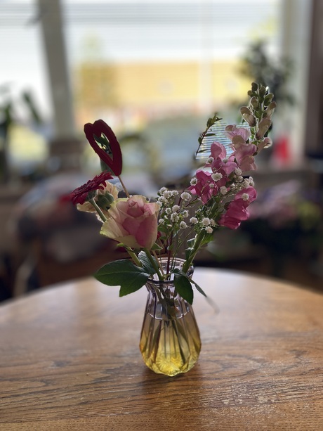 Moederdagbloemen