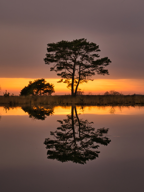 Weerspiegeling