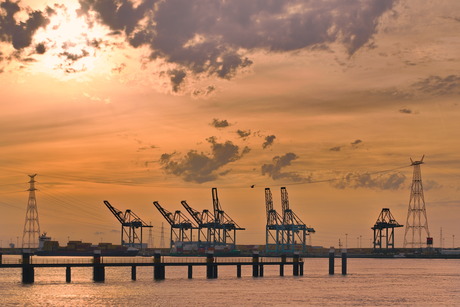 The rocksong series : Industrial Disease