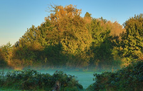 De zon komt en de mist trekt op