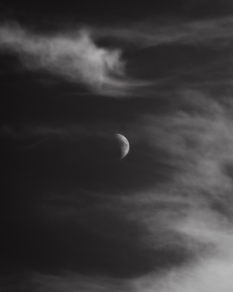 Monochrome Moon