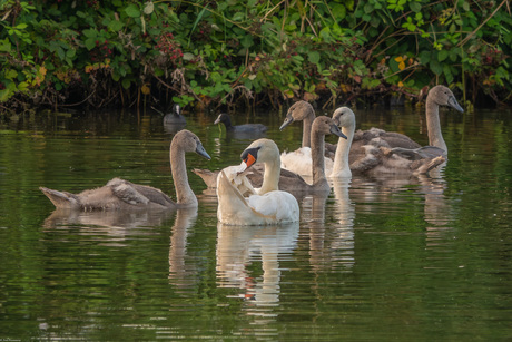De familie nog compleet. 