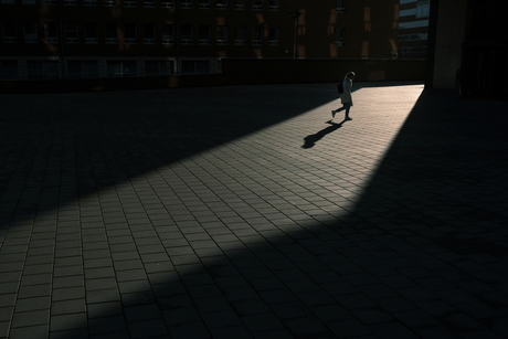 Shadow Works