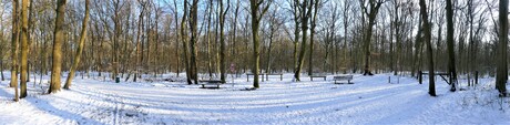 P1130996    SNEL panorama Wintersfeer nr3   Staalduinse bos EEN jaar geleden  10 feb 2021 