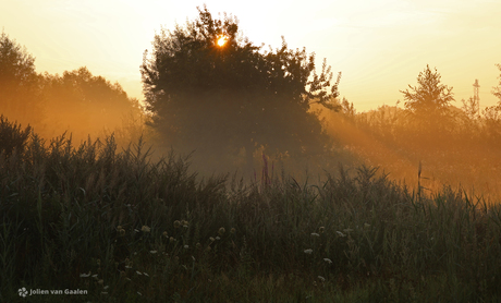De mist ingaan is prachtig