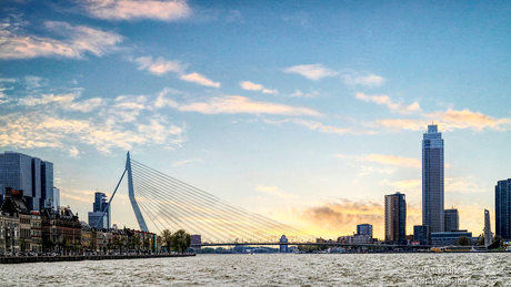 Rotterdam bij avondzon