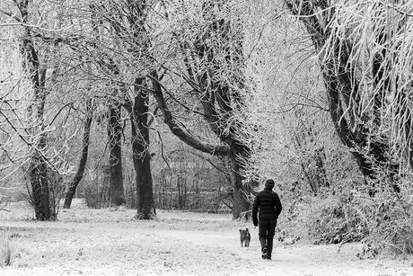 Winter in het park