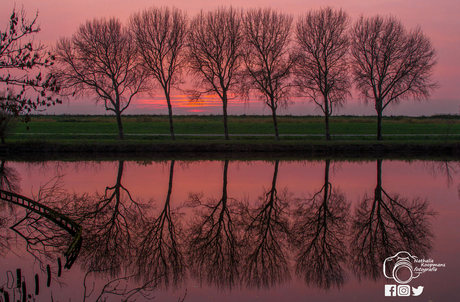 in het laatste avond licht