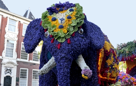 Bloemencorso