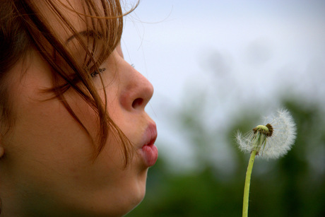 Blowing in the wind.... 2