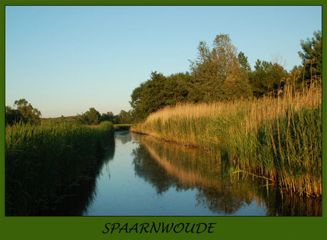 Spaarnwoude