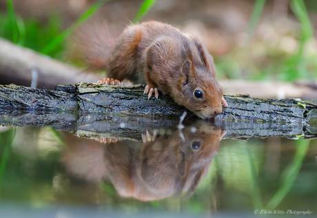 spiegeltje spiegeltje..............