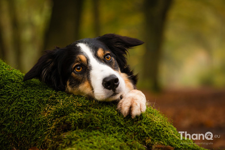 Tree cuddling