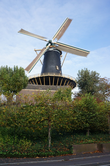 De molen in Woerden