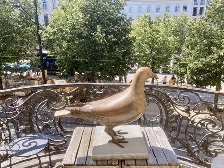 vredesduif op balkon