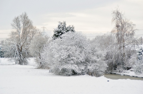 Witte wereld