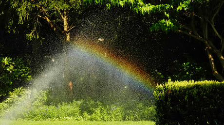 Water sproeiers geven een mooie regenboog