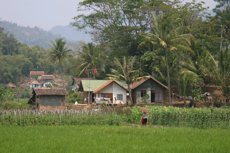 Dorpje In Java