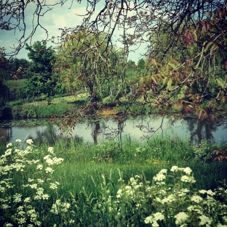 Linge Geldermalsen