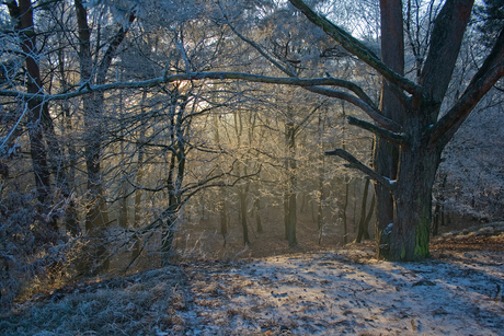 Winter in Montferland