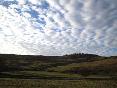 Grassington