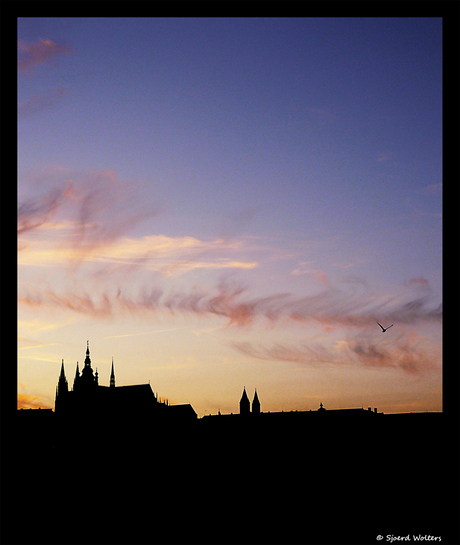 St. Vitus in Praag