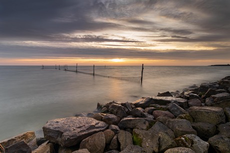Vissen op het IJsselmeer