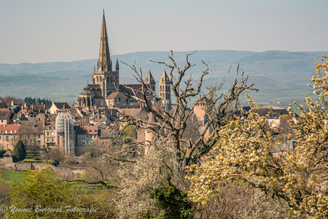 De Kathedraal van Saint Lazare in Autun 