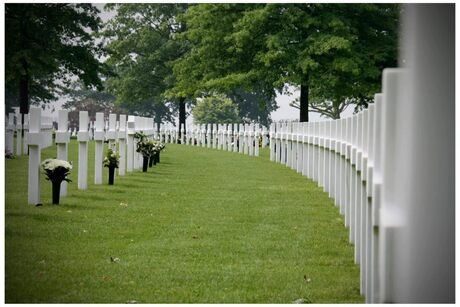 Field of honour...