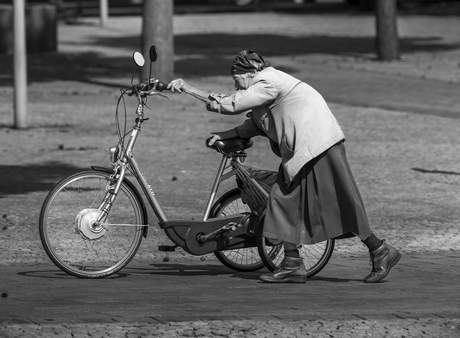 foto vorig jaar in Apeldoorn