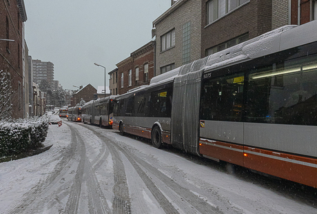 Chaos in de winter