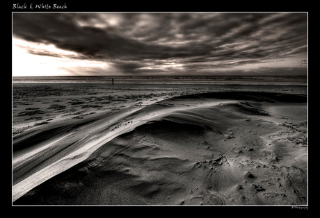 Texel, Black & White