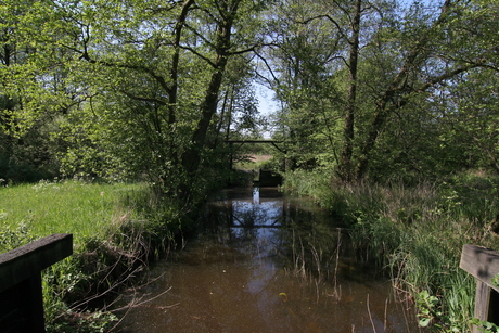Vergeten sluis