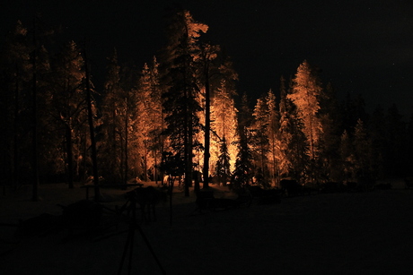 Winternacht in Lapland