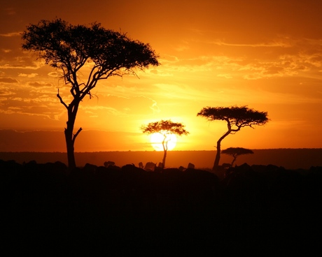 zonsondergang Masai Mara