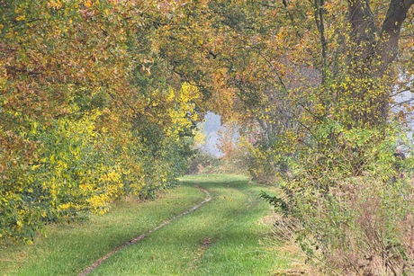 Herfst