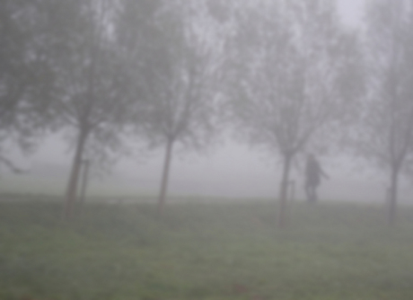 Eenzaam in de mist.jpg