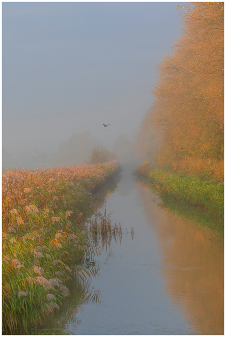 Zonsopkomst en mist.