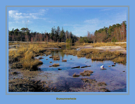 Herfst in de Brunsummerheide