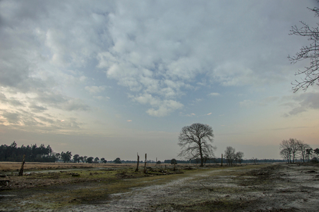 Op de grote stille heide